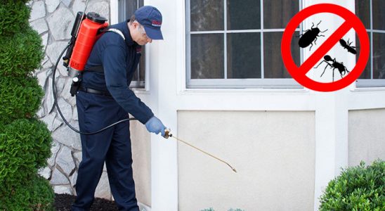 Karabağlar Böcek ve Haşere İlaçlama böcek ilaçlama ve haşere kontrolü — ilaclama-tr.com